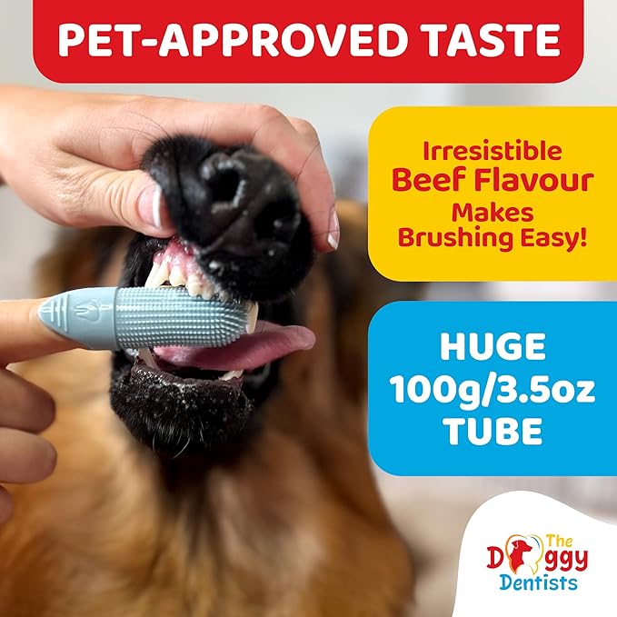 Vet Strength Pure Enzymatic Dog &amp; Cat Toothpaste | 3.5oz Beef Flavor | Enzyme Pet Toothpaste for Tartar Removal, Bad Breath, Teeth Cleaning | Suitable for Puppies &amp; Kittens