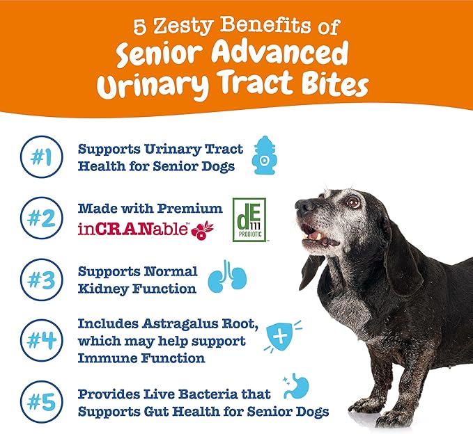 Zesty Paws Senior Cranberry Supplement for Dogs - Bladder Control for Senior Dogs - Urinary Tract Support - Cranberry Chews - Immune &amp; Gut Support - Chicken - 90 Count