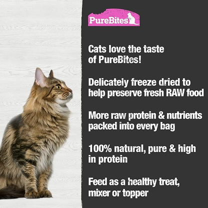 PureBites Freeze Dried Salmon Cat Treats, 4.7Oz | 134g - Jumbo Size