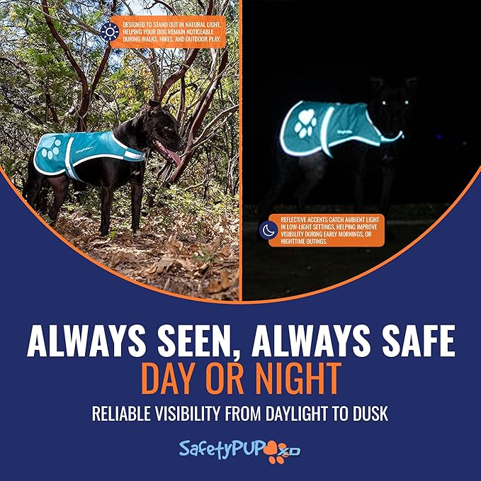 Dog Reflective Vest – Hi-Vis Fluorescent Visibility That Helps to Safeguard Your Pet On/Off Leash in Urban &amp; Rural Areas (Teal, X-Large)