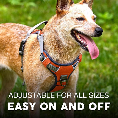 Embark Adventure Dog Harness, No-Pull Reflective Trim Dog Harness for Small, Medium &amp; Large Dogs - Military Grade Nylon, 2 Leash Clips &amp; Gel Lined Handle. Soft &amp; Padded Puppy Dog Vest for Any Breed