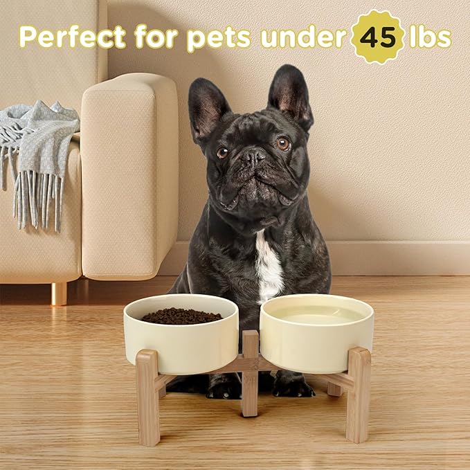 SPUNKYJUNKY Elevated Dog Bowls Ceramic, 6.1&