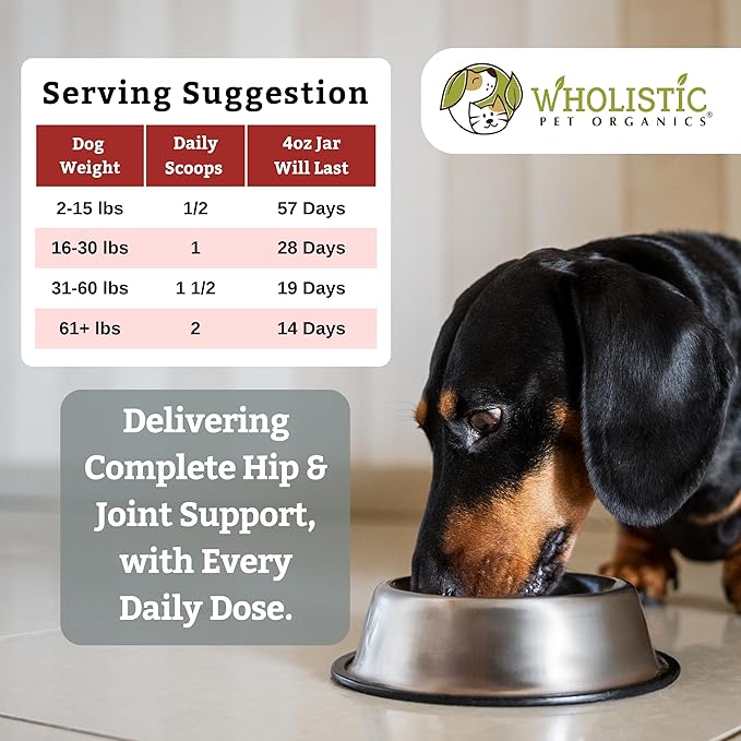 Wholistic Pet Organics Joint Supplement for Dogs - 4 Oz - Daily Dog Hip and Joint Supplement with Glucosamine Chondroitin &amp; MSM to Support Mobility - All Breeds &amp; Ages - Organic Glucosamine for Dogs
