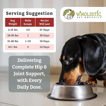 Wholistic Pet Organics Joint Supplement for Dogs - 4 Oz - Daily Dog Hip and Joint Supplement with Glucosamine Chondroitin &amp; MSM to Support Mobility - All Breeds &amp; Ages - Organic Glucosamine for Dogs