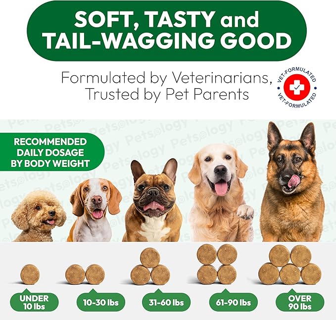 Flea and Tick Prevention for Dogs Pills - Natural Dog Flea &amp; Tick Control - 170 Soft Chewables - Oral Defense Treatment for Dogs Supplement - Vet Formulated Chews - All Breeds &amp; Ages - Made in USA