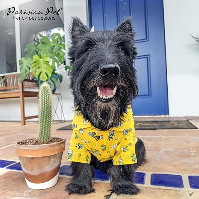Parisian Pet Cactus Cap Beach Outfit - 100% Cotton Summer Clothes - Stylish Dog Costume - Breathable, Cool &amp; Machine Washable - Small Dogs