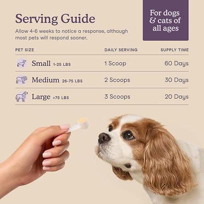 Fera Pets Calming Supplement for Dogs &amp; Cats with Probiotics, L-Theanine, and Ashwagandha - Supports Anxiety Relief - Promotes Relaxation - 60 Scoops