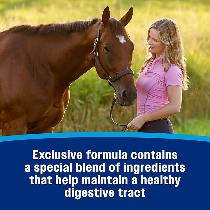 Farnam Hindgut Stabilizer Pellets, Daily Digestive &amp; Immune Supplement for Horses Helps Maintain a Balanced Microbiome for Optimal Digestion