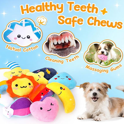 Irresistible Weather-Themed 20-Pack Squeaky Dog Toys Set for Small Dogs &amp; Puppies, Included 16 Plush Toys with Vibrant Characters to Keep Them Busy &amp; 4 Dog Bags