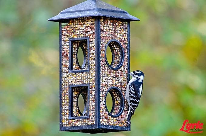 Lyric Woodpecker Wild Bird Seed, No Waste Bird Seed with Nuts, Dried Fruit &amp; Shelled Seeds - 5 lb. Bag