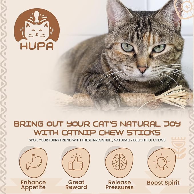 Catnip Silvervine Sticks for Cats | Silver Vine Chew Toy or Cat Chew Stick | Kitten Teething Toys | Cat Dental Chew with Cat Raffia Grass for Healthy Teeth &amp; Digestion | Silvervine Cat Toy | 2 Sticks