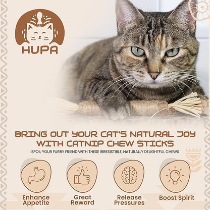 Catnip Silvervine Sticks for Cats | Silver Vine Chew Toy or Cat Chew Stick | Kitten Teething Toys | Cat Dental Chew with Cat Raffia Grass for Healthy Teeth &amp; Digestion | Silvervine Cat Toy | 2 Sticks