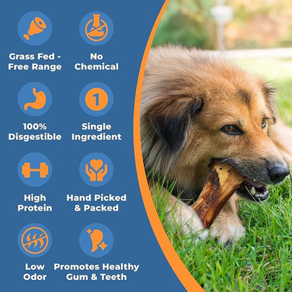 Beef Bone Marrow Dog Treats - Long Lasting Dog Bones for Aggressive Chewers - All-Natural Marrows Treats for Dogs - High-Protein Marrow Bones for Dogs Small, Medium, Large &amp; Extra Large