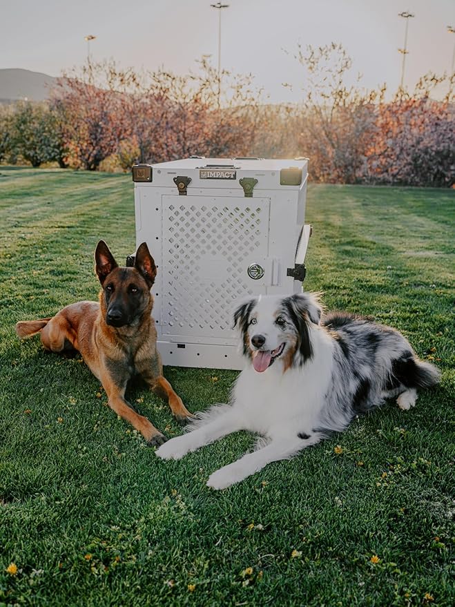 Impact Collapsible Dog Crate - Foldable Hard Crate for Medium Dogs - Heavy Duty Travel Kennel with Powder-Coated Aluminum - Quick Setup for Indoor &amp; Outdoor (Black, 30" (30.5" L x 20.5" W x 26" H))