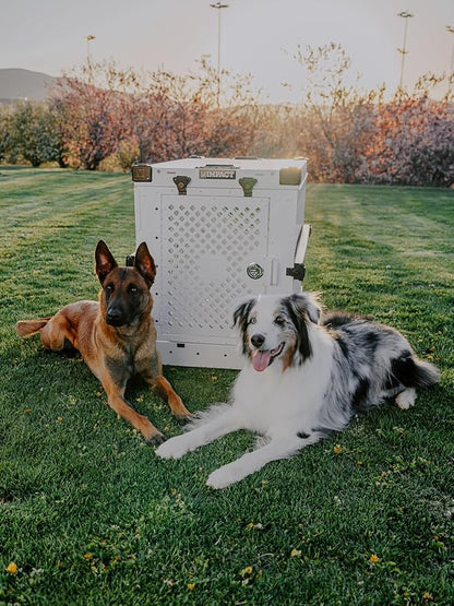 Impact Collapsible Dog Crate - Foldable Hard Crate for Medium Dogs - Heavy Duty Travel Kennel with Powder-Coated Aluminum - Quick Setup for Indoor &amp; Outdoor (Black, 30" (30.5" L x 20.5" W x 26" H))