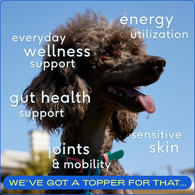 Native Pet Pack Leaders Bundle - Daily Dog Multivitamin (7 oz.) &amp; Omega Oil for Dogs (8 oz.) - Omega 3 Fish Oil for Healthy Skin, Shiny Coat, &amp; Strong Joints &amp; Daily Multivitamin for Dogs