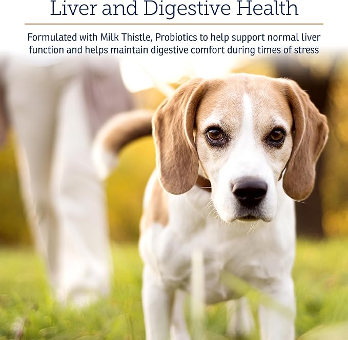 Rx Vitamins Onco Support - Dog &amp; Cat Immune Support Supplement with Milk Thistle, Spirulina, Kelp Powder - Aids in Gut Health and Digestive Support - 300g