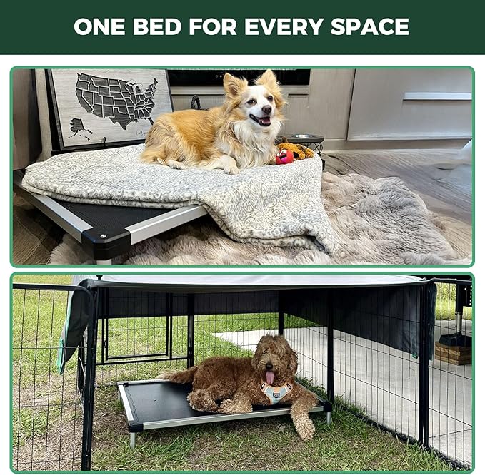 FXW TitanNest Chew-Proof Elevated Dog Bed, Raised Cot for Indoor/Outdoor/Camping Use, Durable &amp; Waterproof Cooling Pet Bed for Large Dogs, 50.0" L x 31.0" W x 7.3" H, Black