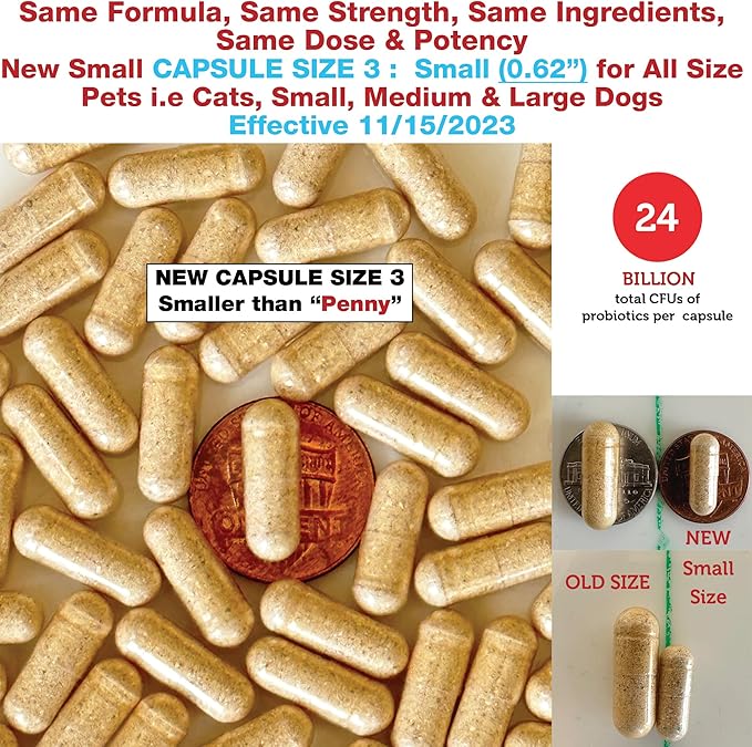 Azovast Plus Kidney Health Supplement for Dogs &amp; Cats, 720ct - NO Refrigeration Required - Help Support Kidney Function &amp; Manage Renal Toxins - Renal Care Supplement Capsule(U.S.A)(720 Caps)