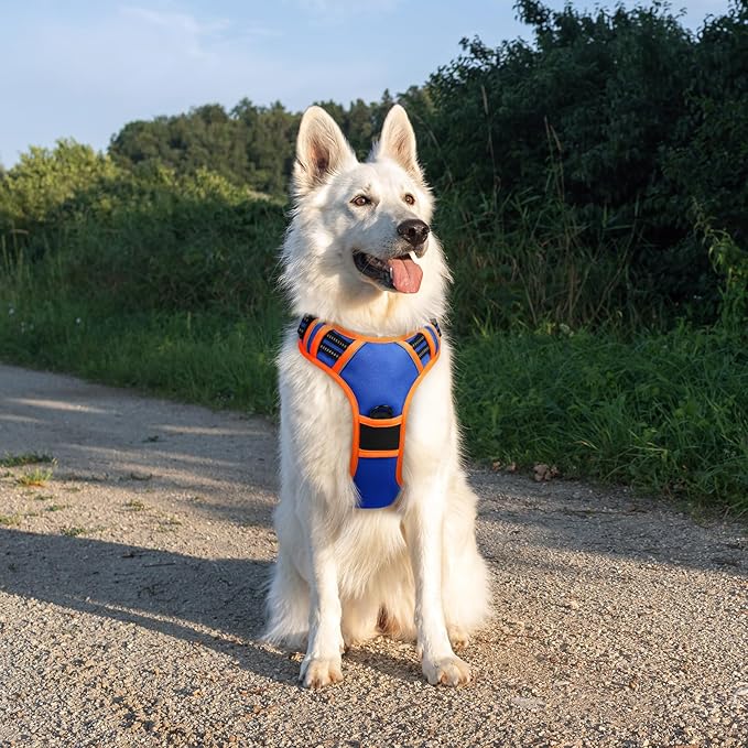 Eagloo Dog Harness for Large Dogs, No Pull Service Vest with Reflective Strips and Control Handle, Adjustable and Comfortable for Walking, No Choke Pet Harness with 2 Metal Rings, Blue &amp; Orange, XL