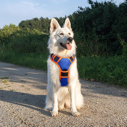 Eagloo Dog Harness for Large Dogs, No Pull Service Vest with Reflective Strips and Control Handle, Adjustable and Comfortable for Walking, No Choke Pet Harness with 2 Metal Rings, Blue &amp; Orange, XL