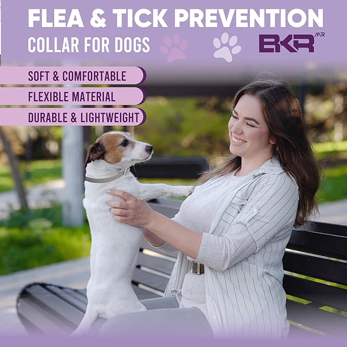 Flea Collar for Dogs – 2 Pack 16 Month Natural Flea &amp; Tick Prevention Dog Flea Collar Adjustable One Size Fits All, Safe and Effective
