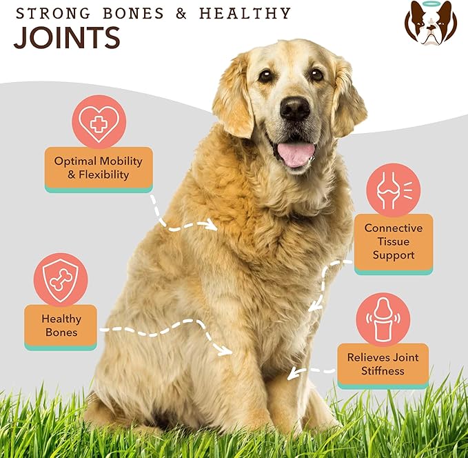Natural Dog Company Healthy Joints, Skin and Coat Bundle for Dogs, Includes (1) Bottle Natural Dog Company Skin and Coat Oil, (1) Bottle Liquid Glucosamine, Food Topper, Dog&
