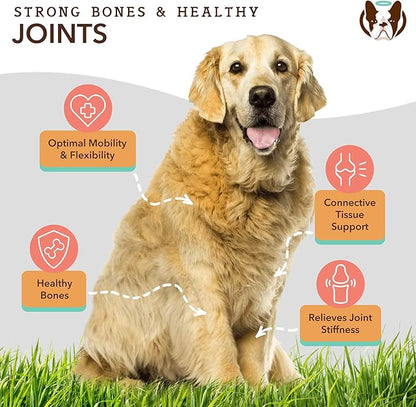 Natural Dog Company Healthy Joints, Skin and Coat Bundle for Dogs, Includes (1) Bottle Natural Dog Company Skin and Coat Oil, (1) Bottle Liquid Glucosamine, Food Topper, Dog&