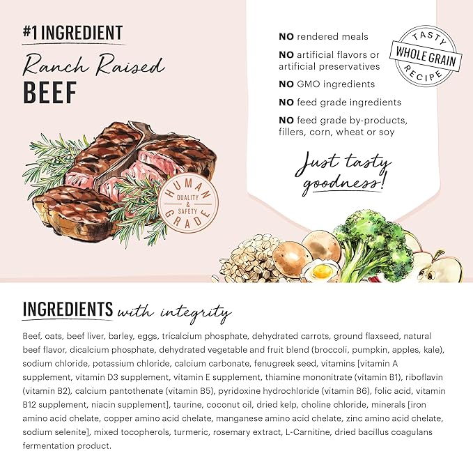 The Honest Kitchen Whole Food Clusters Whole Grain Beef &amp; Oat Dry Dog Food, 5 lb Bag