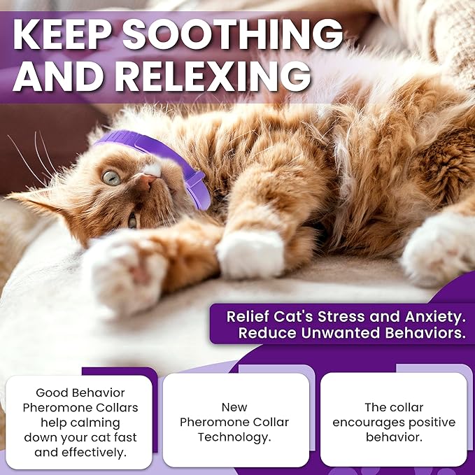 Calming Collar for Cats: Pheromone-Infused Behavior Support, Long-Lasting 30-Day Effect, Adjustable &amp; Waterproof, 4-Pack (Purple)