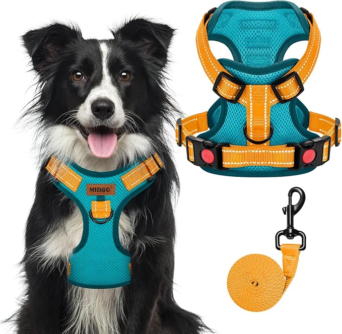 MIDOG No-Pull Dog Harness | Adjustable &amp; Reflective Pet Harness Leash Set for Small Medium Large Dogs Walking, Training| No Choke, Front Clip, Soft Padded Vest with Easy Control Handle - Blue, XL