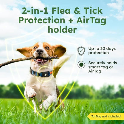BugMD Paw Guardian Flea &amp; Tick Pendant (3-Pack) with AirTag Holder – Plant-Based Flea &amp; Tick Prevention for Dogs – Pet Collar Tag &amp; GPS Tracker Holder for Dogs – Black