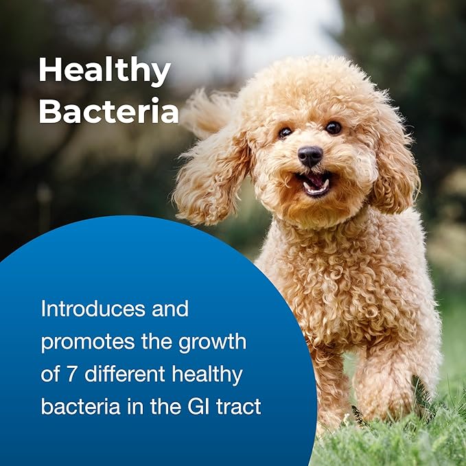 PetAg Bene-Bac Plus - 1 lb Powder - FOS &amp; Probiotics for Dogs, Cats, Exotic &amp; Wildlife Mammals