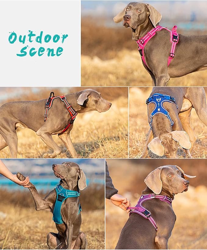TRUE LOVE Dog Harness No Pull Nylon Reflective Pet Harness Adjustable Comfortable Control Step-in Brilliant Colors Truelove TLH56512 XS Black