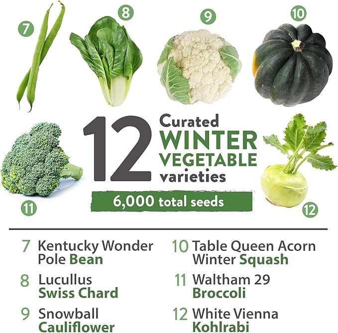HOME GROWN 12 Winter Vegetable Seeds 𝗡𝗢𝗡-𝗚𝗠𝗢 Heirloom,Fall &amp; Winter Vegetable Seeds for Planting Home Garden: Bean, Beet, Broccoli, Cabbage, Carrot, Cauliflower, Kale,Parsnip,Squash,Chard &amp; More