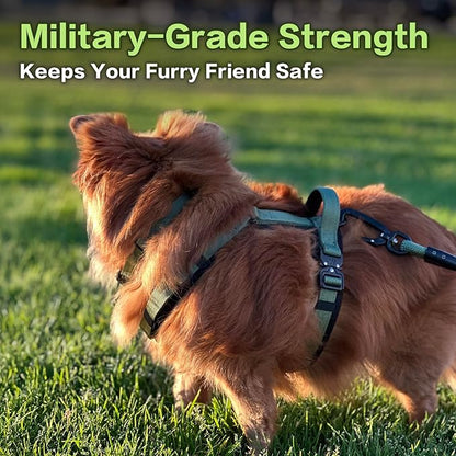 CLEPAWS Dog Harness for Small Dogs, No Pull Dog Harness Easy Walk with Metal Hardware, Ergonomic Y-Shaped Design, Soft Padding, Padded Handle, Durable High-Tensile Nylon (Evergreen, S)