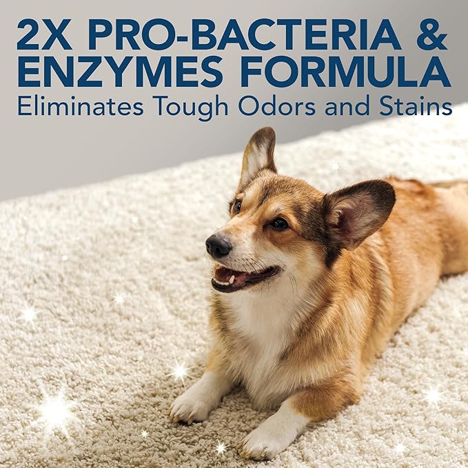 Simple Solution Stain &amp; Odor Eliminator for Pets, Carpet Deodorizer, Enzyme Pet Odor Eliminator for Home, Stain Remover for Cat &amp; Dog Pee, Urine Destroyer, Carpet Cleaner Spray, Gallon