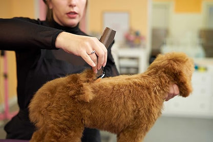 WAHL Professional Animal Bravura Lithium Ion Clipper - Pet, Dog, Cat, and Horse Corded/Cordless Clipper Kit, Gunmetal (41870-0425)