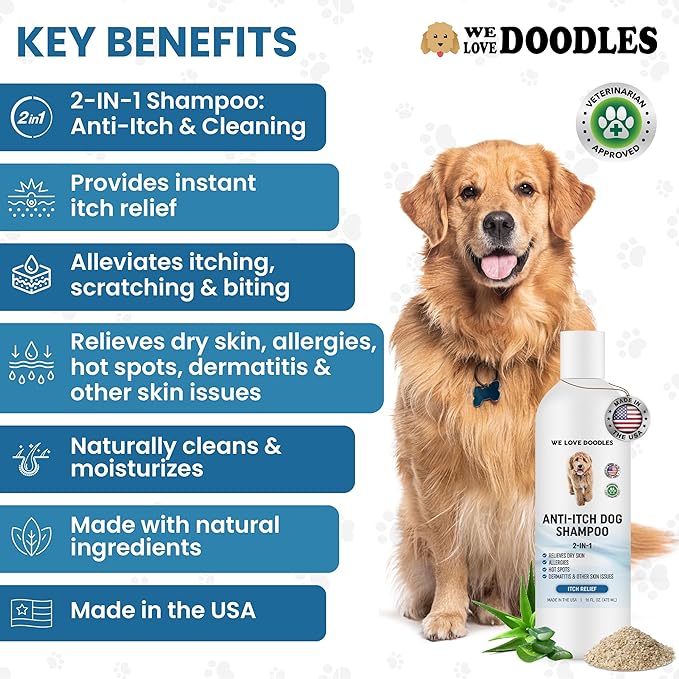 Premium Anti Itch Dog Shampoo for Sensitive Skin, Made in USA, Dry Skin Treatment for Dogs, Great for Allergies, Itching, Hot Spots, Natural Ingredients &amp; Allergy Relief, 16 OZ [We Love Doodles]