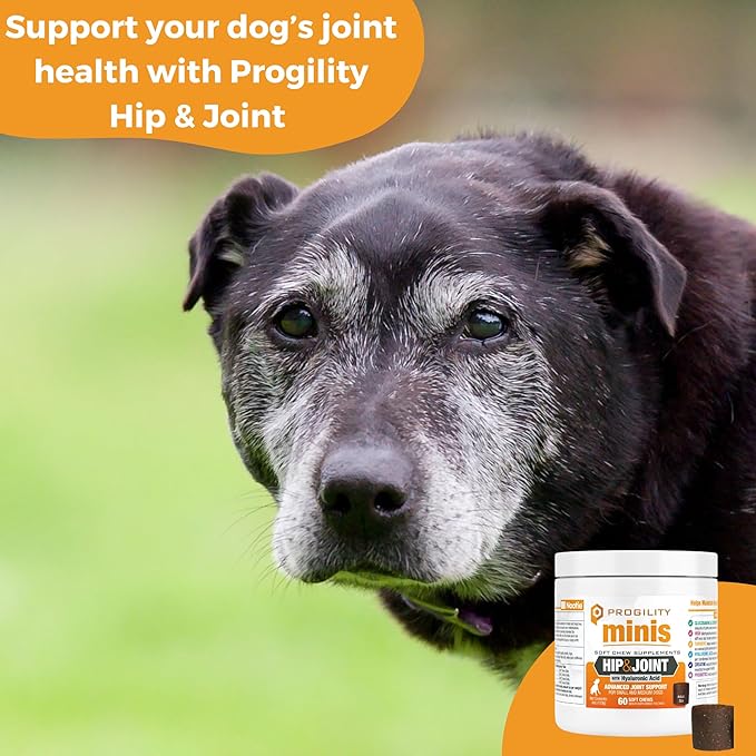 Nootie Progility Mini Hip &amp; Joint Small &amp; Medium Breed Chew Supplement for Dogs, 60 Count