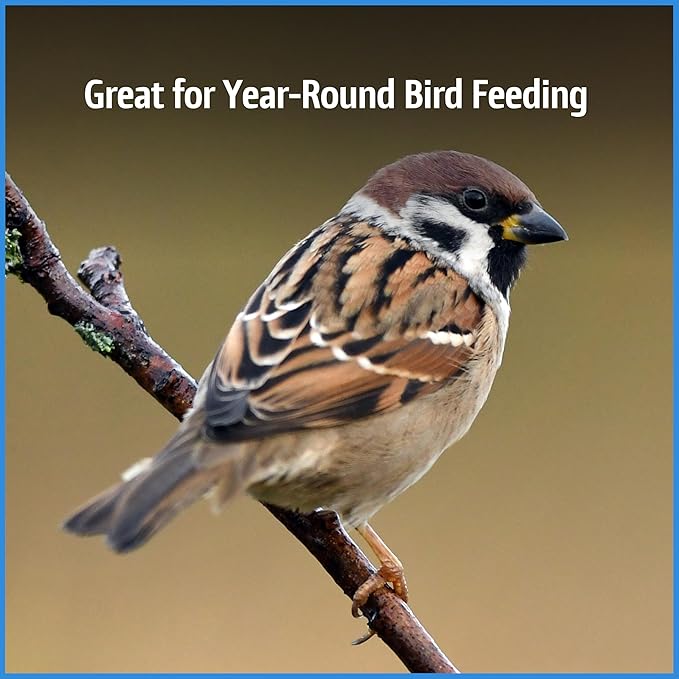 Pennington Select Chips &amp; Bits Wild Bird Seed for Outside Feeders, High-Protein, No-Hull &amp; No-Waste, Sunflower Chips &amp; Peanut Bits Attract Songbirds,15-lb. Bag