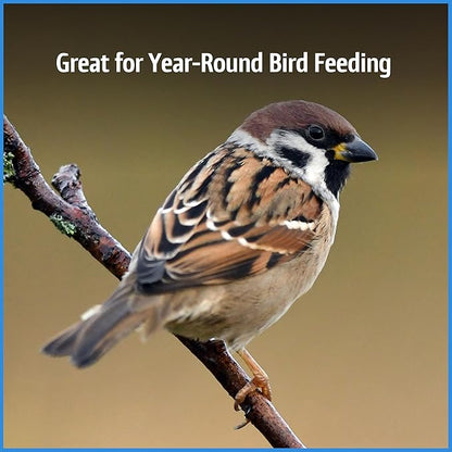 Pennington Select Chips &amp; Bits Wild Bird Seed for Outside Feeders, High-Protein, No-Hull &amp; No-Waste, Sunflower Chips &amp; Peanut Bits Attract Songbirds,15-lb. Bag