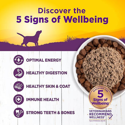 Wellness Complete Health Natural Wet Canned Dog Food, Chicken &amp; Sweet Potato, 12.5-Ounce Can (Pack of 12)