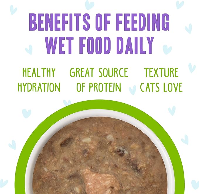 Weruva B.F.F. OMG - Best Feline Friend Oh My Gravy!, Selfie Cam! with Chicken &amp; Lamb in Gravy Cat Food, 5.5oz Can (Pack of 8)
