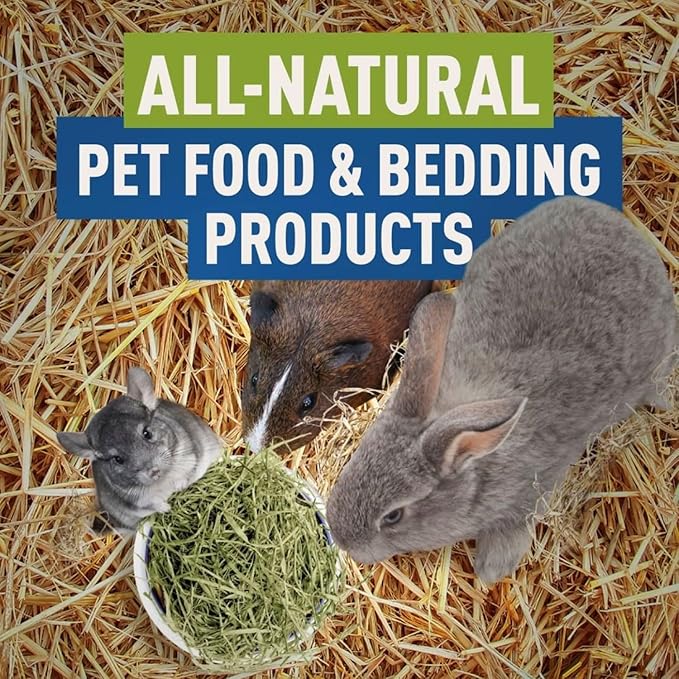 Blue Mountain Hay | Organic Bedding Straw (25 lb) | Natural Pet Bedding &amp; Insulation for Rabbits, Guinea Pigs, Goats, Chickens, Stray &amp; Feral Cats, and Small Animal Shelters