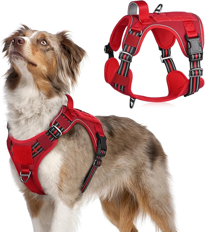 rabbitgoo Tactical Dog Harness Medium Sized Dog, No Pull Military Service Vest with Handle &amp; Molle, Easy Control for Training Walking, Adjustable Reflective Straps, Red, M