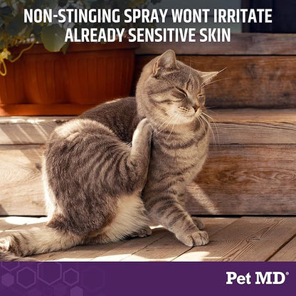 Pet MD All-in-One Derm Care - Hypochlorous Acid Spray for Dogs &amp; All Pets - Skin Soother for Dogs &amp; Wound Spray for Dogs - Cat Wound Care, Dog Hot Spot Remedy, &amp; Dog Itch Relief - 4oz