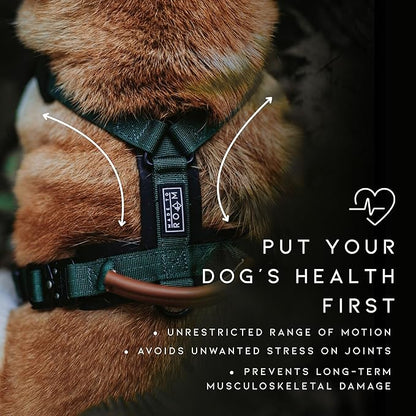 MADE TO ROAM Premium Explorer Harness - Y-Shaped Dog Harness with Adjustable Durable Nylon, Soft Padding, Metal Buckles and Leather Handle for Small, Medium, Large Dogs (Washington Rain, Size 7)