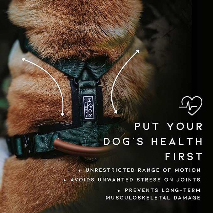 MADE TO ROAM Premium Explorer Harness - Y-Shaped Dog Harness with Adjustable Durable Nylon, Soft Padding, Metal Buckles and Leather Handle for Small, Medium, Large Dogs (Michigan Autumn, Size 5)