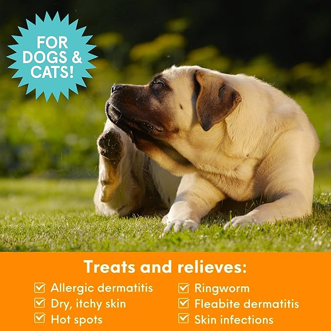 Nootie Medicated Pet Shampoo, Chlorhexidine Dog Shampoo for Itch Relief, Sold in Over 5,000 Vet Clinics &amp; Pet Stores Worldwide- 8oz